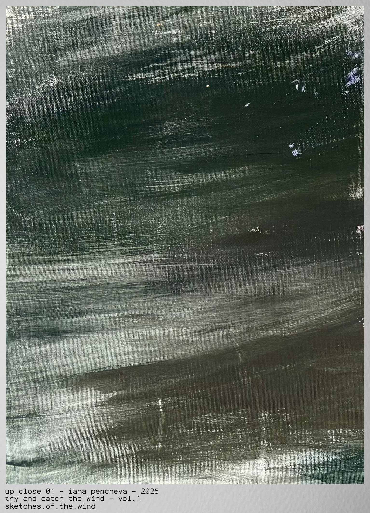 Up Close 01 Heavy Oversized Hoodie