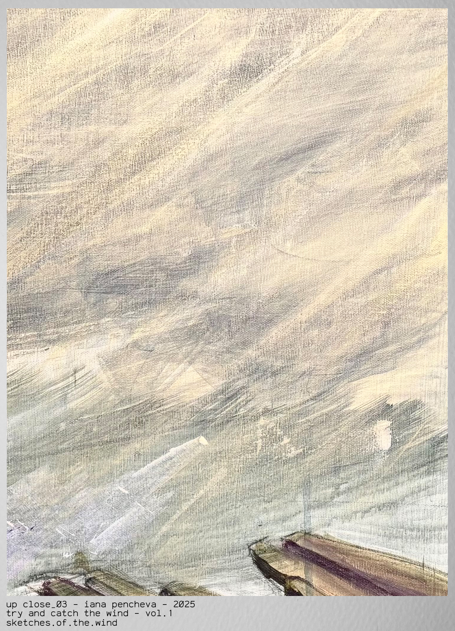 Up Close 03 Crop Top