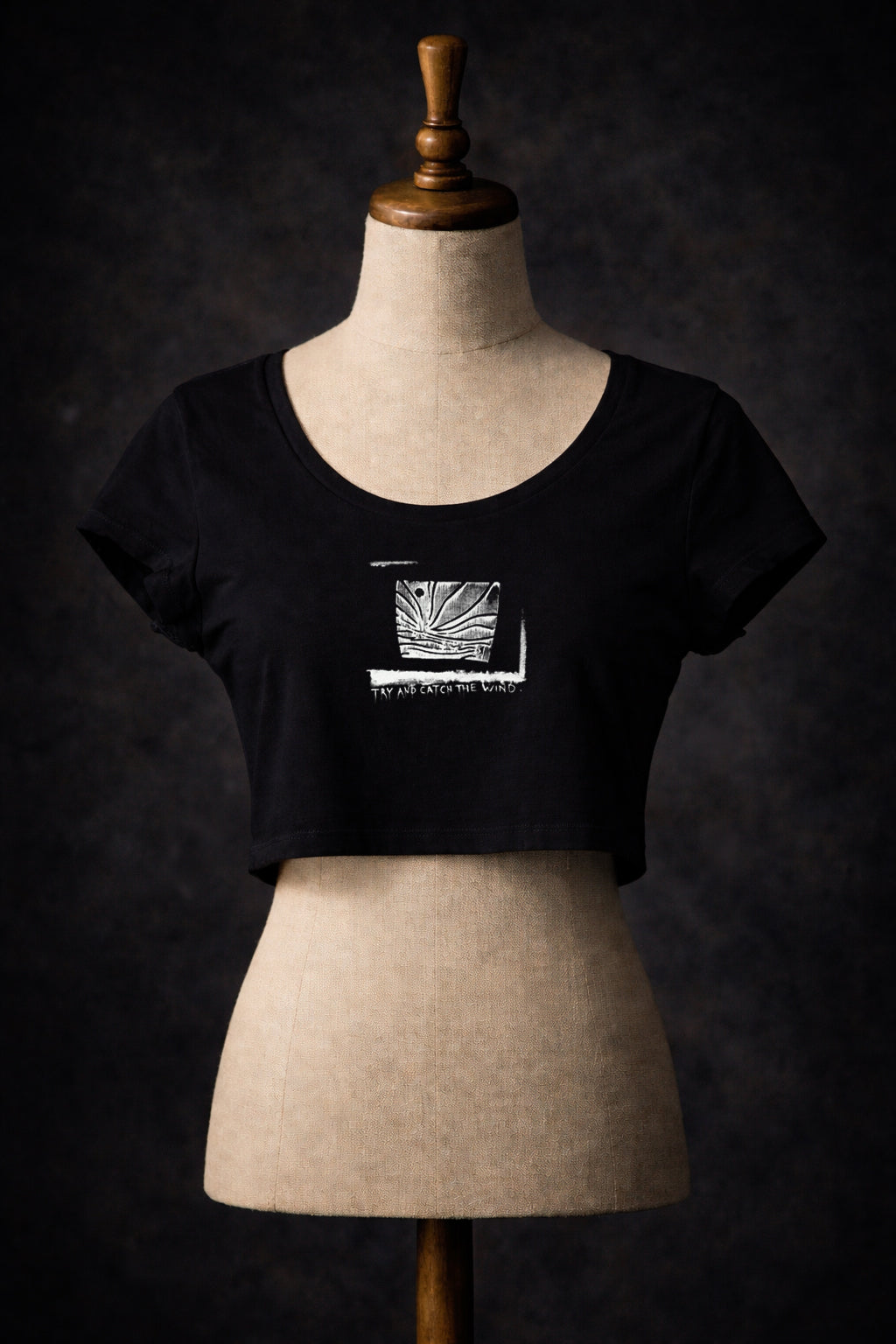 Try And Catch The Wind Crop Top