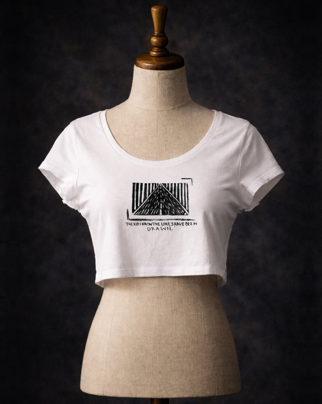 The Lines Have Been Drawn Crop Top