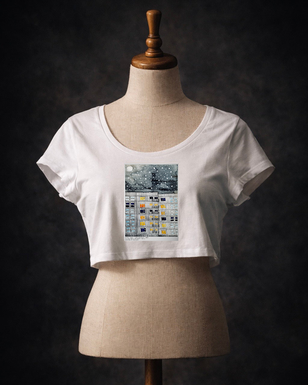 Winter Night Crop Top